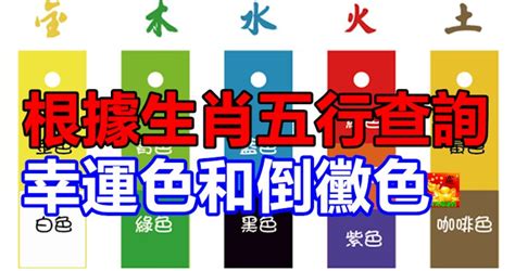 五行顏色查詢|根據生肖五行查詢幸運色和倒霉色